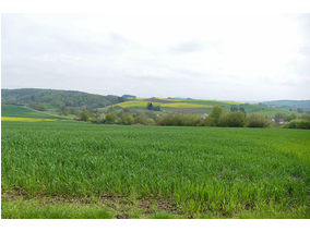 Bittprozession an der Weingartenkapelle (Foto: Karl-Franz Thiede)